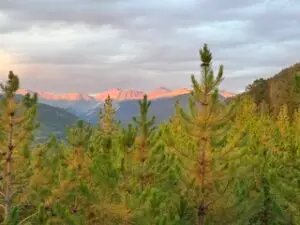 mountain scene and blog about how EMDR, Internal Family Systems (IFS), and somatic therapy can help heal traumatic grief, survivor's guilt, moral injury, and complicated grief in Colorado.