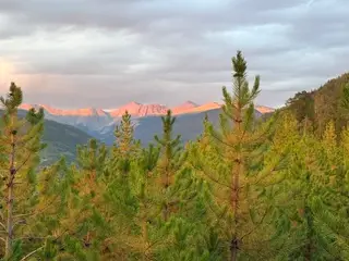mountain scene and blog about how EMDR, Internal Family Systems (IFS), and somatic therapy can help heal traumatic grief, survivor's guilt, moral injury, and complicated grief in Colorado.