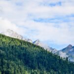 Gratitude and toxic positivity, how EMDR, IFS and Trauma can help gratitude heal