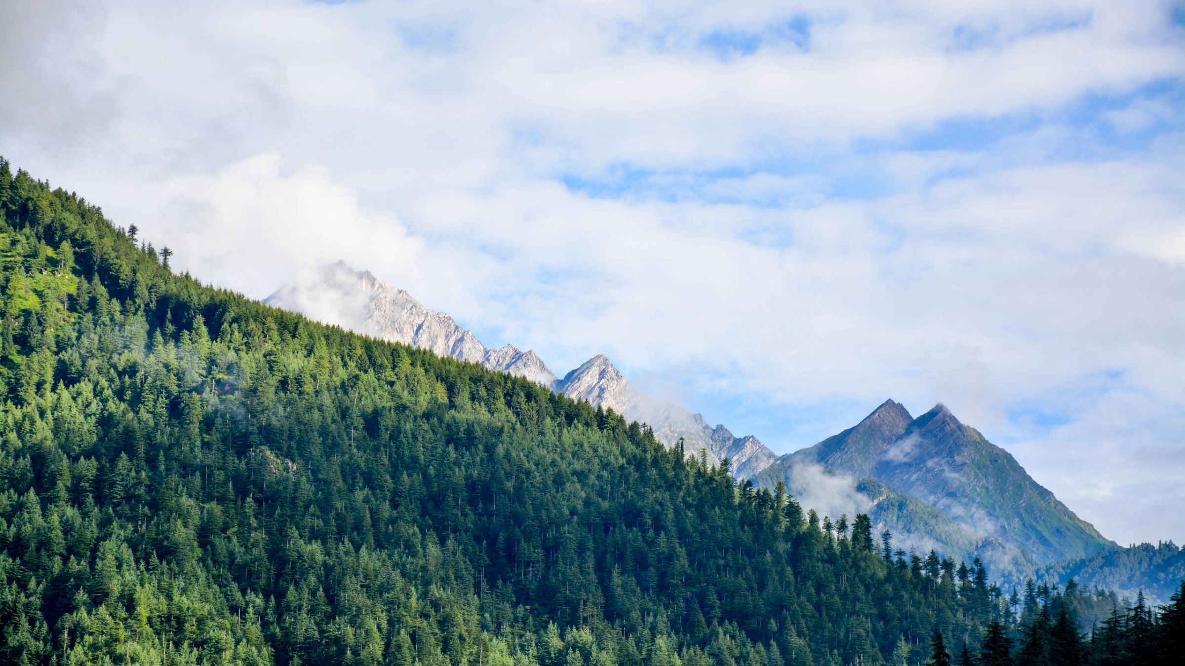 Gratitude and toxic positivity, how EMDR, IFS and Trauma can help gratitude heal