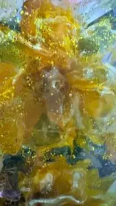 photo of sparkly flower about unblending and internal family systems therapy