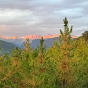 mountain scene and blog about how EMDR, Internal Family Systems (IFS), and somatic therapy can help heal traumatic grief, survivor's guilt, moral injury, and complicated grief in Colorado.