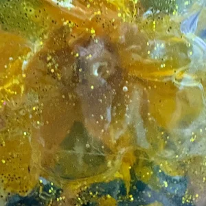 photo of sparkly flower about unblending and internal family systems therapy